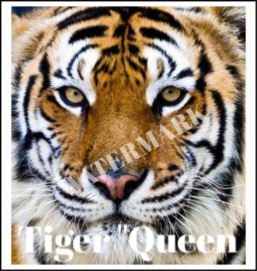 "Tiger Queen" Art Print