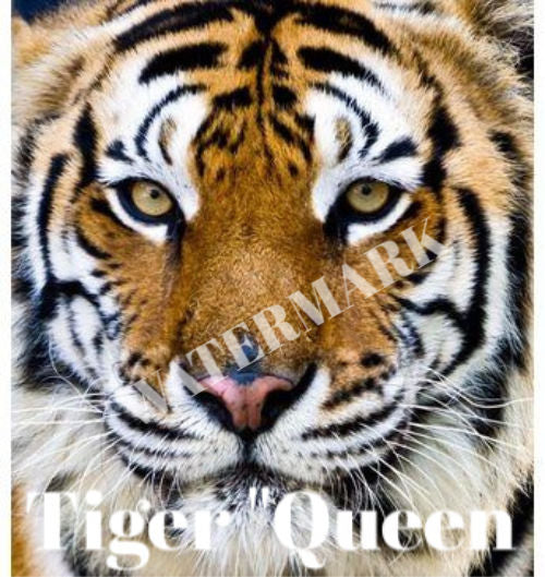"Tiger Queen" Art Print